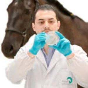 lecturer-image